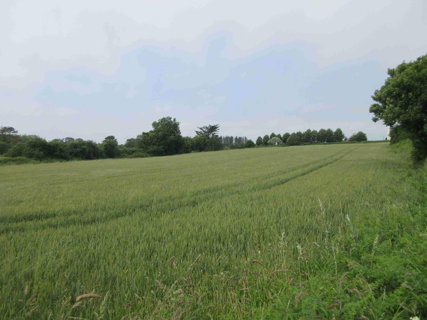 Vente Maison PLOUHINEC 3662
